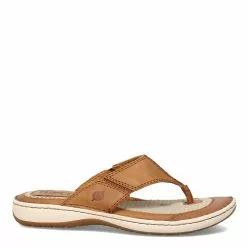 Men's Born, Corvo Sandal 10 Men's Born, Corvo Sandal -Shoes Shop 1 2230158 ZM 1