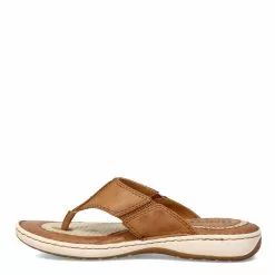 Men's Born, Corvo Sandal 12 Men's Born, Corvo Sandal -Shoes Shop 1 2230158 ZM 3