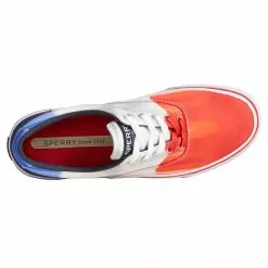 Men's Sperry, Striper II CVO Sneaker 12 Men's Sperry, Striper II CVO Sneaker -Shoes Shop 1 2262229 ZM 4