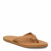 Men's Hari Mari, Fields Sandal 1 Men's Hari Mari, Fields Sandal -Shoes Shop 1 2424648 ZM