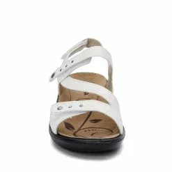 Women's Romika, Ibiza 70 Sandal -Shoes Shop 1 41692 ZM 2